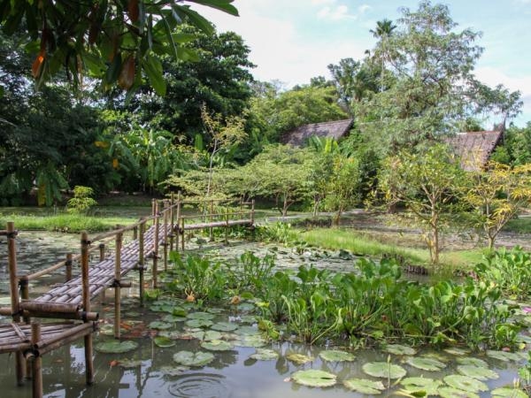 De wellnessindustrie, Thailands nieuwste gok om toeristen te trekken