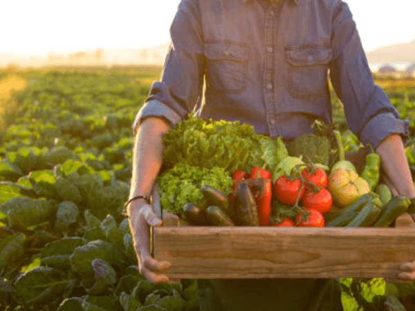 La diminution des récoltes et des pluies exerce une forte pression sur le prix des denrées alimentaires de base.