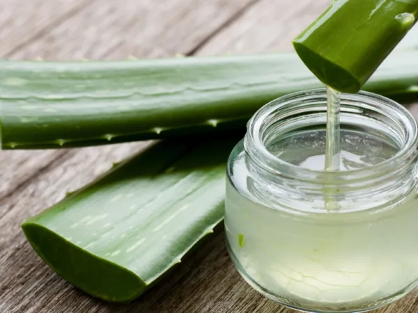 Cildinizi ışıl ışıl yapacak, evde hazırlayabileceğiniz aloe vera kürü