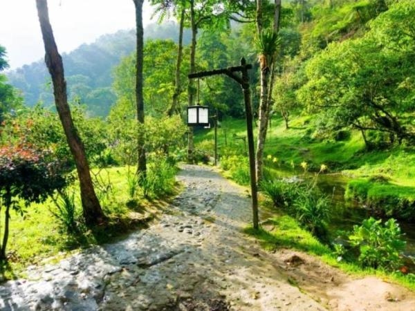 Hot springs and exquisite coffee: the small town in Colombia that is full of pleasures