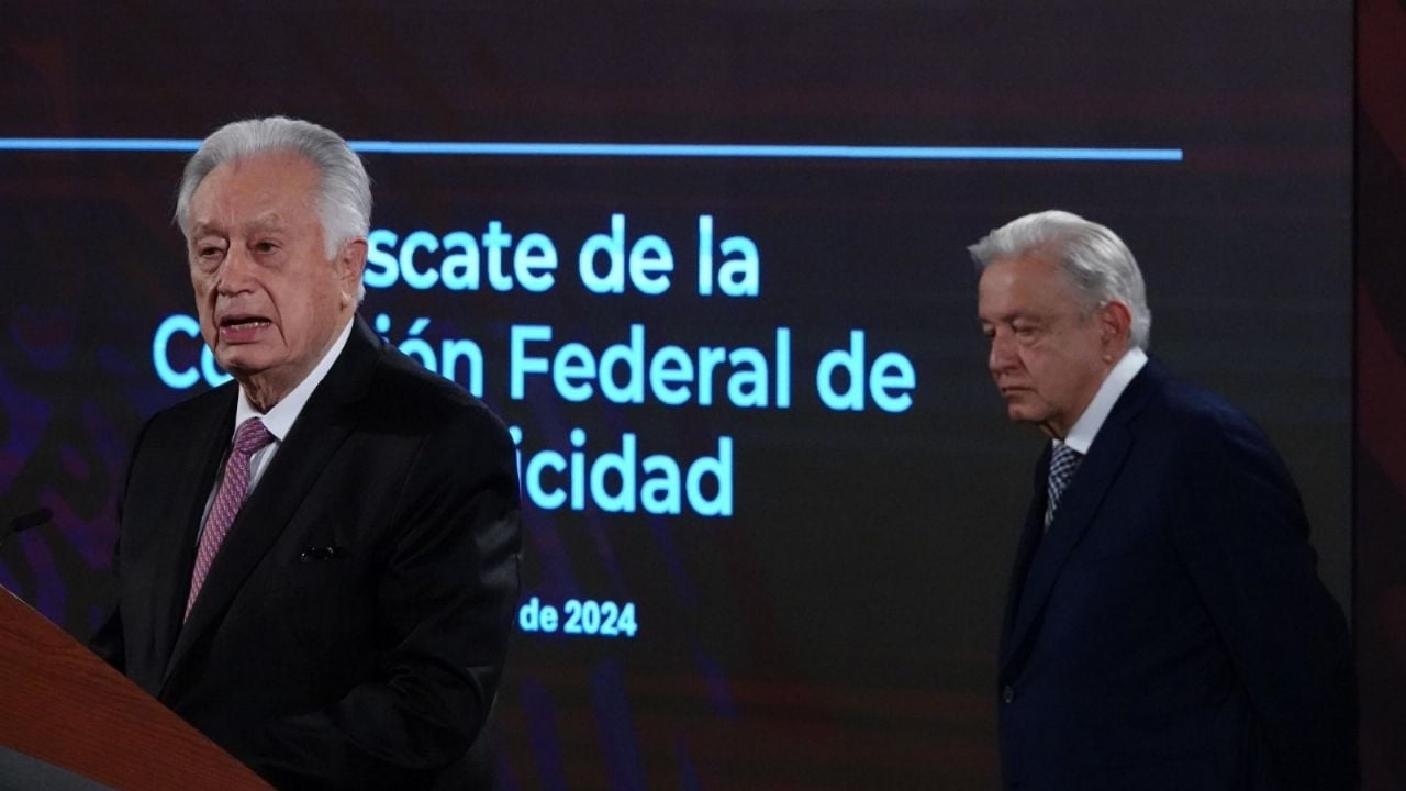 CFE Бартлетта управлял долгом без четких правил и надзора: ASF