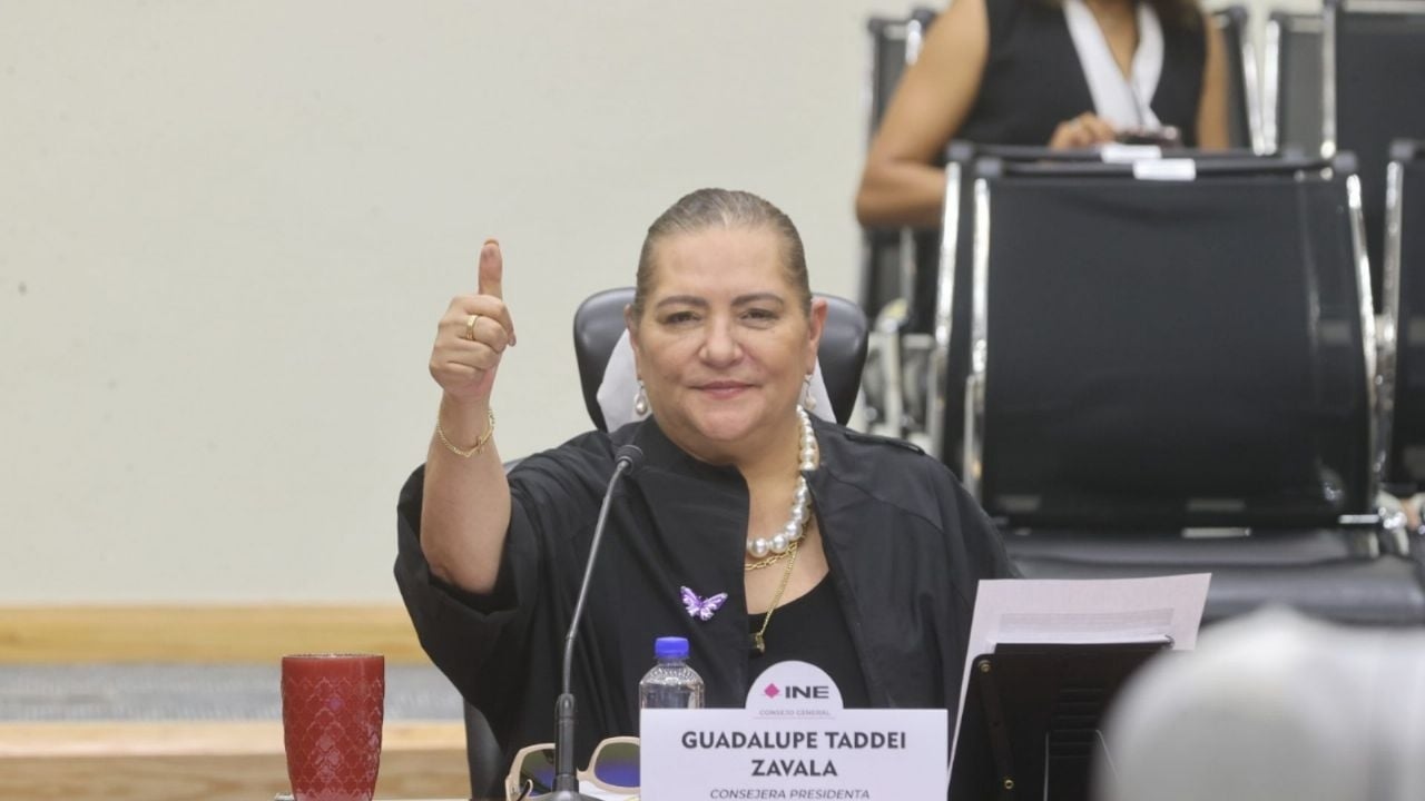 Taddei considera a organização das eleições judiciais como "altamente bem-sucedida", apesar dos acordeões