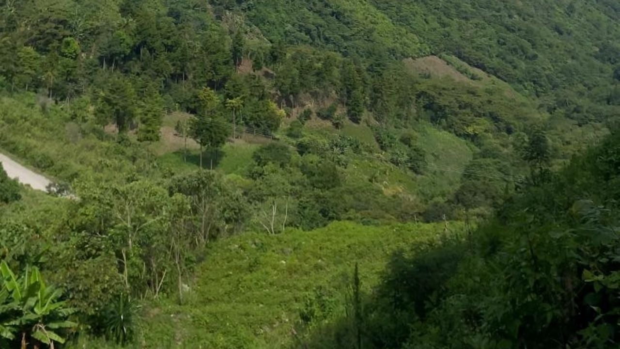 Il giudice nega l'ingiunzione agli indigeni che chiedevano di fermare la costruzione dell'autostrada San Cristóbal-Palenque
