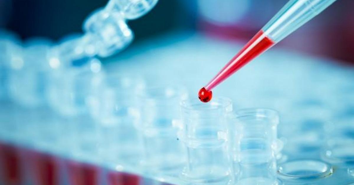 Desarrollan sangre artificial compatible con todos los grupos sanguíneos