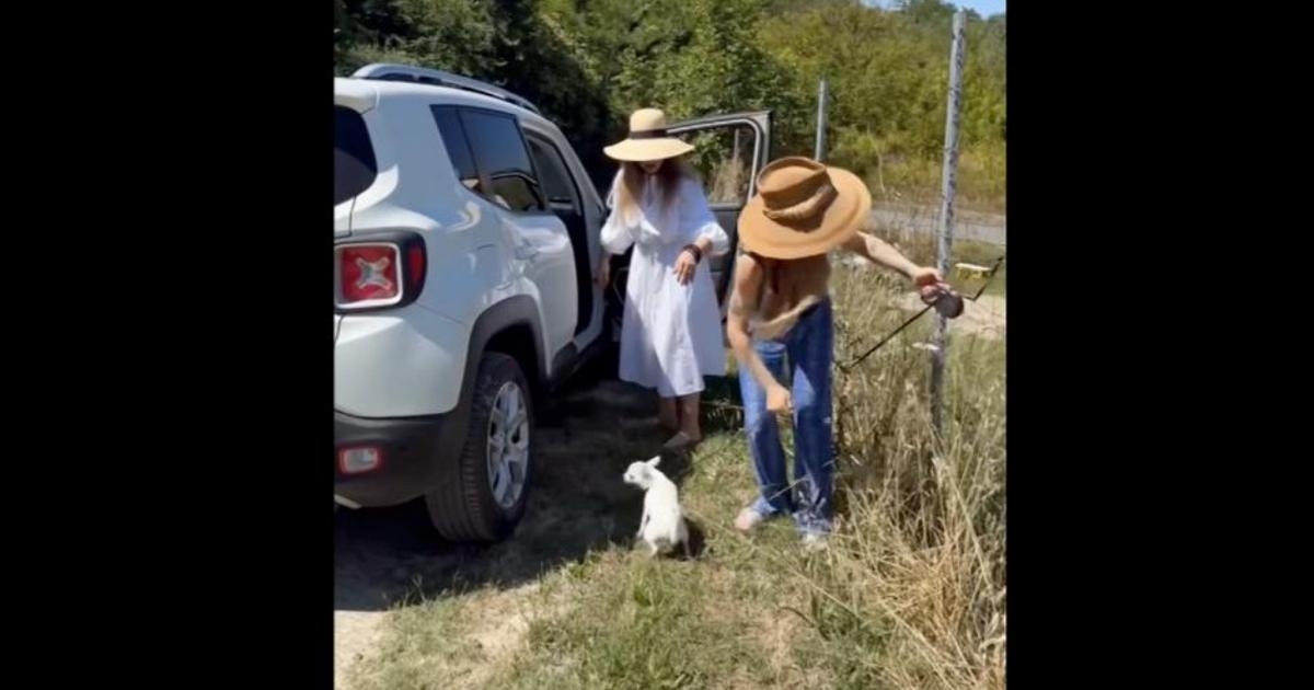 'Fuori il traditore', la campagna antiabbandono con Ornella Muti e Naike Rivelli