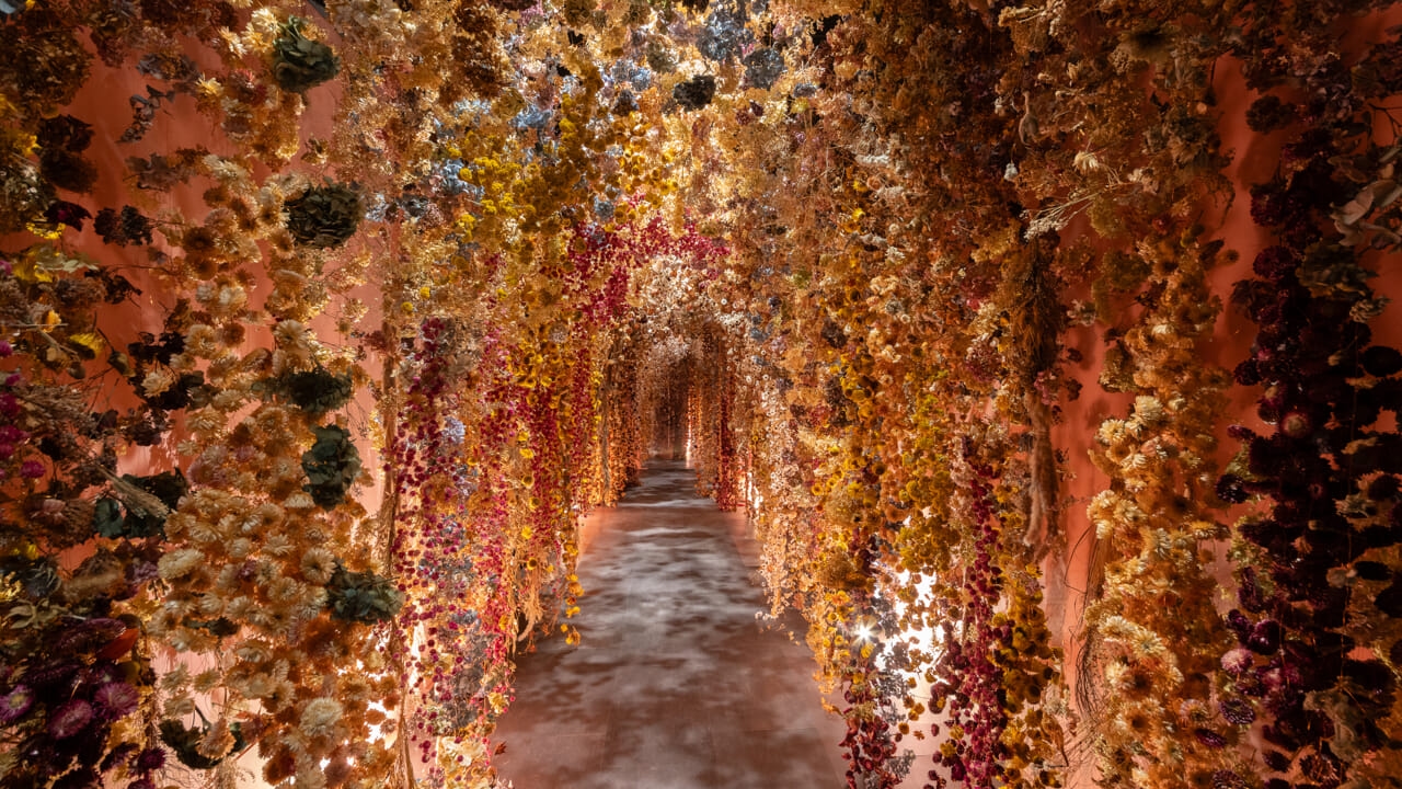 "Flores", o Chiostro del Bramante celebra as flores com a maior exposição italiana dedicada a elas