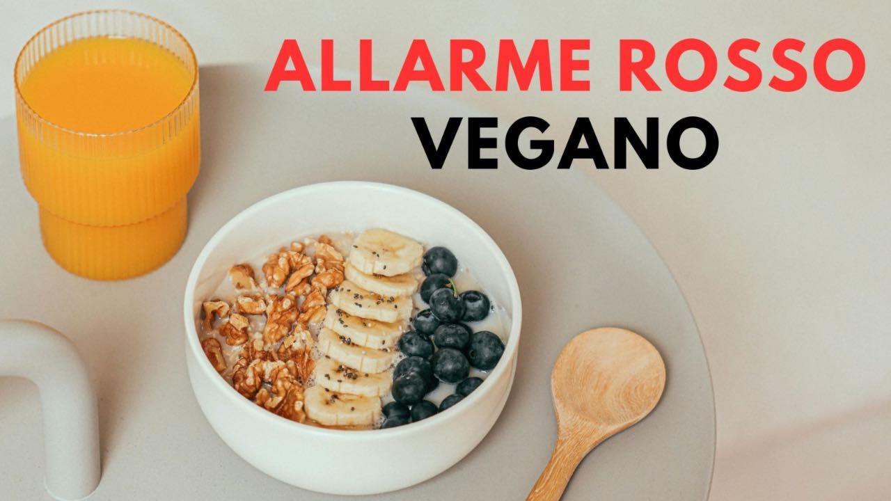 “Você come e leva choque anafilático”: Terremoto em alimentos veganos | Proibido a partir de hoje, sem exceções