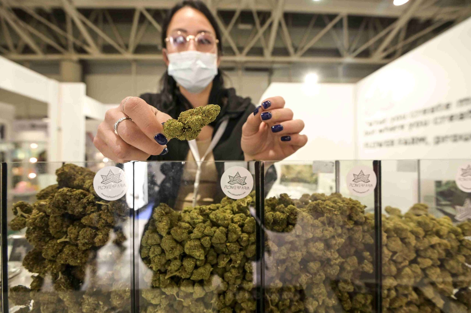 Ingresos en prisión: los ingresos relacionados con las drogas están en aumento