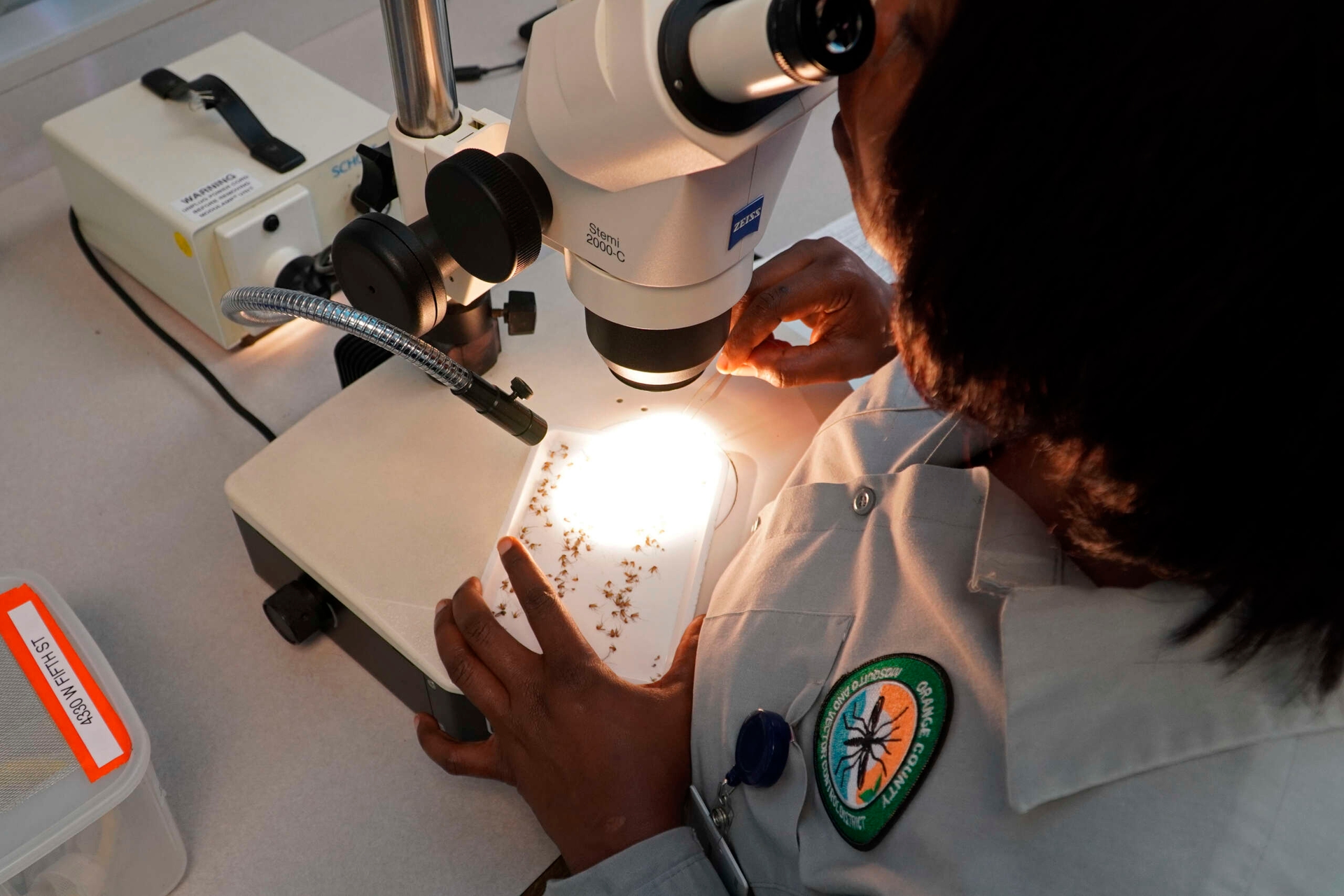 ¿Qué es el virus del Nilo Occidental: cómo se transmite, síntomas, vacuna y tratamiento?