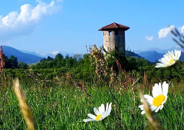 What to do on the weekend - What to do in Varese and the Varese area on the weekend of May 9, 10, 11 - Varese Laghi - Varese News