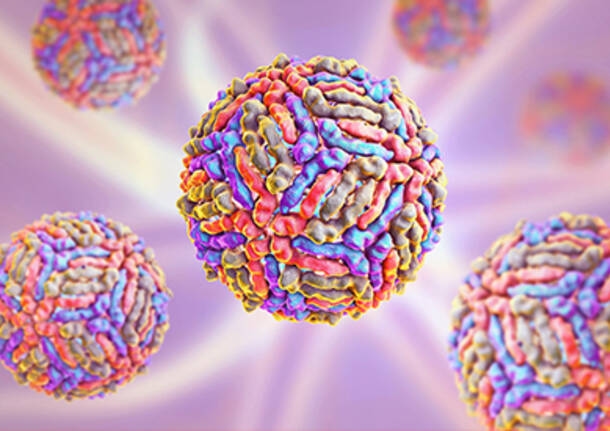 Mailand – Zwölf Fälle einer West-Nil-Virus-Infektion wurden bestätigt, versichert die Region Lombardei: „Im Einklang mit den Vorjahren.“ – Gesundheit – Varese News