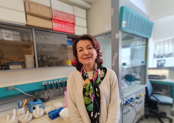 Medizin - Ein neues Antibiotikum gegen superresistente Bakterien in den Labors der Universität Insubria entdeckt - - Varese News