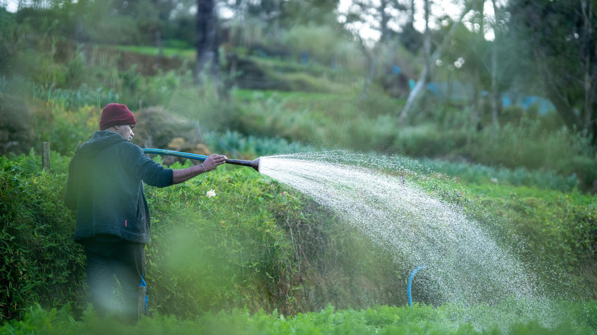 Illegal recruitment of foreign workers, the implementing decree has not yet been adopted