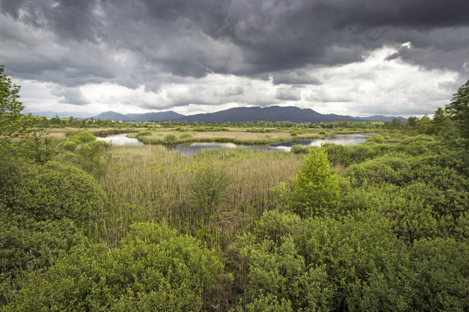 UE, Vida, o programa que defende a natureza, está na balança