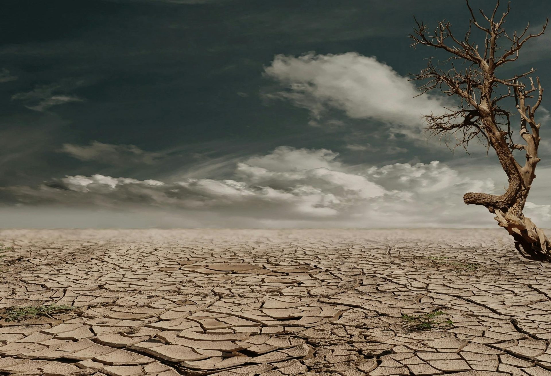 Réchauffement climatique, plus de 100 millions d'enfants exposés au risque de canicule