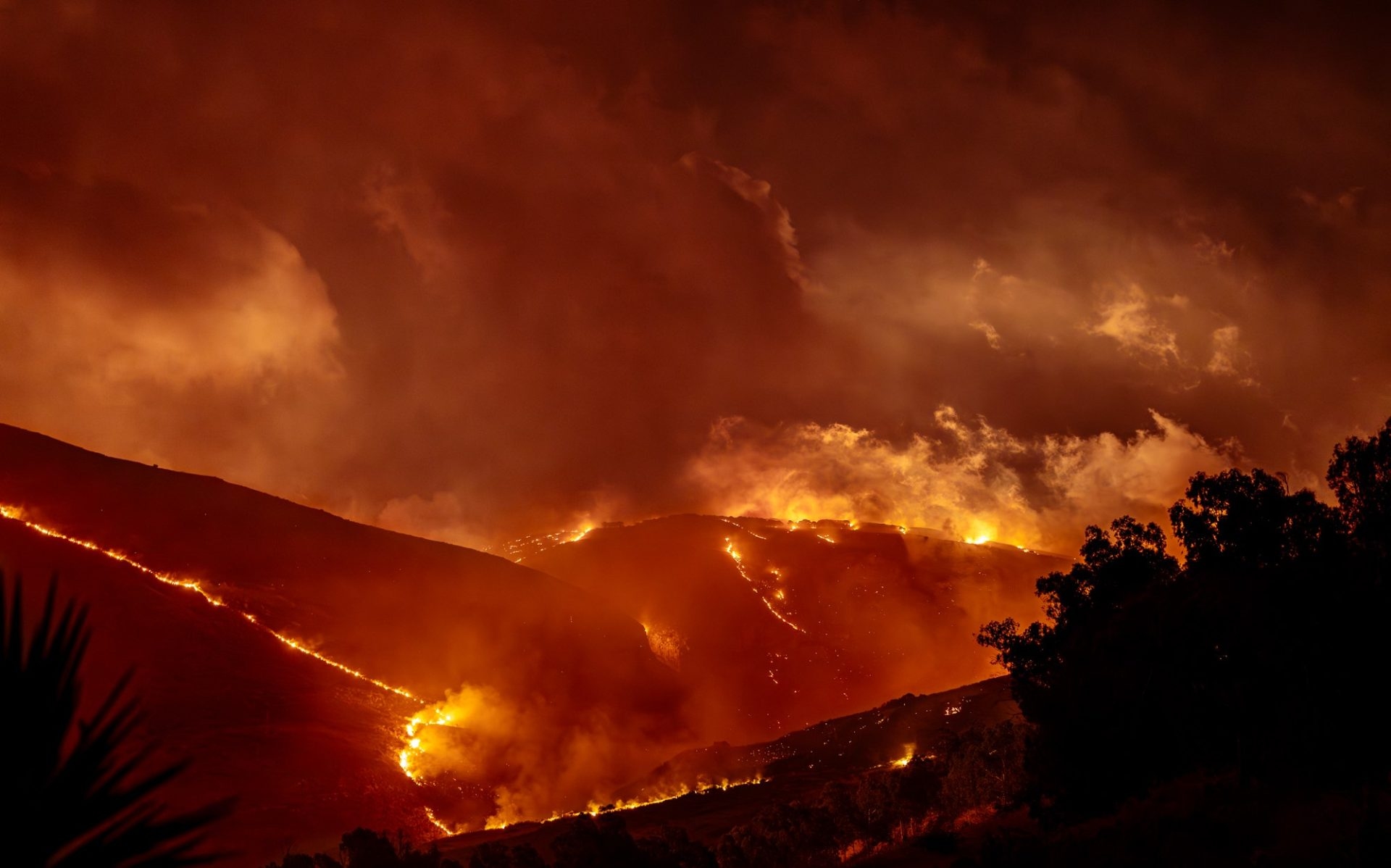 In Sicilia 50 incendi al giorno, ma la prevenzione ancora non si fa