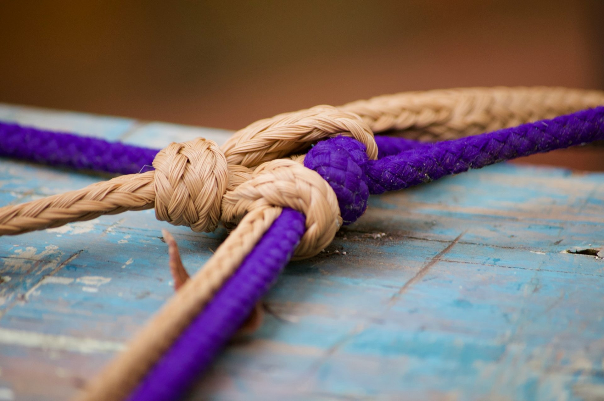 Peace knots lead secular scouts to the Perugia-Assisi march