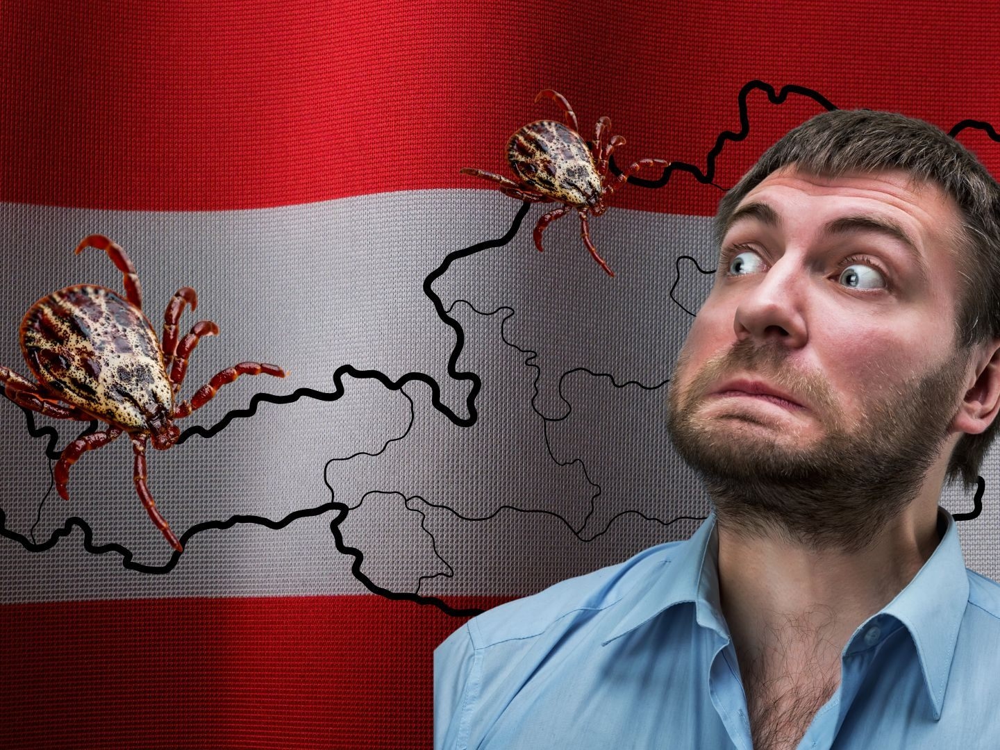 Tick ​​alert in Austria – new vaccine in sight
