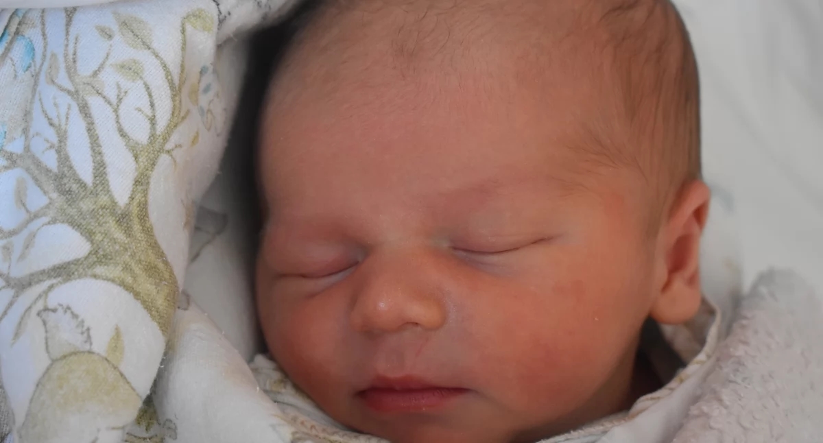 BAMBINO DELLA VITA (bambini con n. ŻP 26 dal 25 giugno)