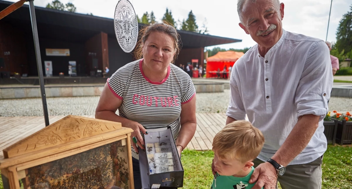 Beekeepers and honey festival in Horyniec-Zdrój [PHOTOS]
