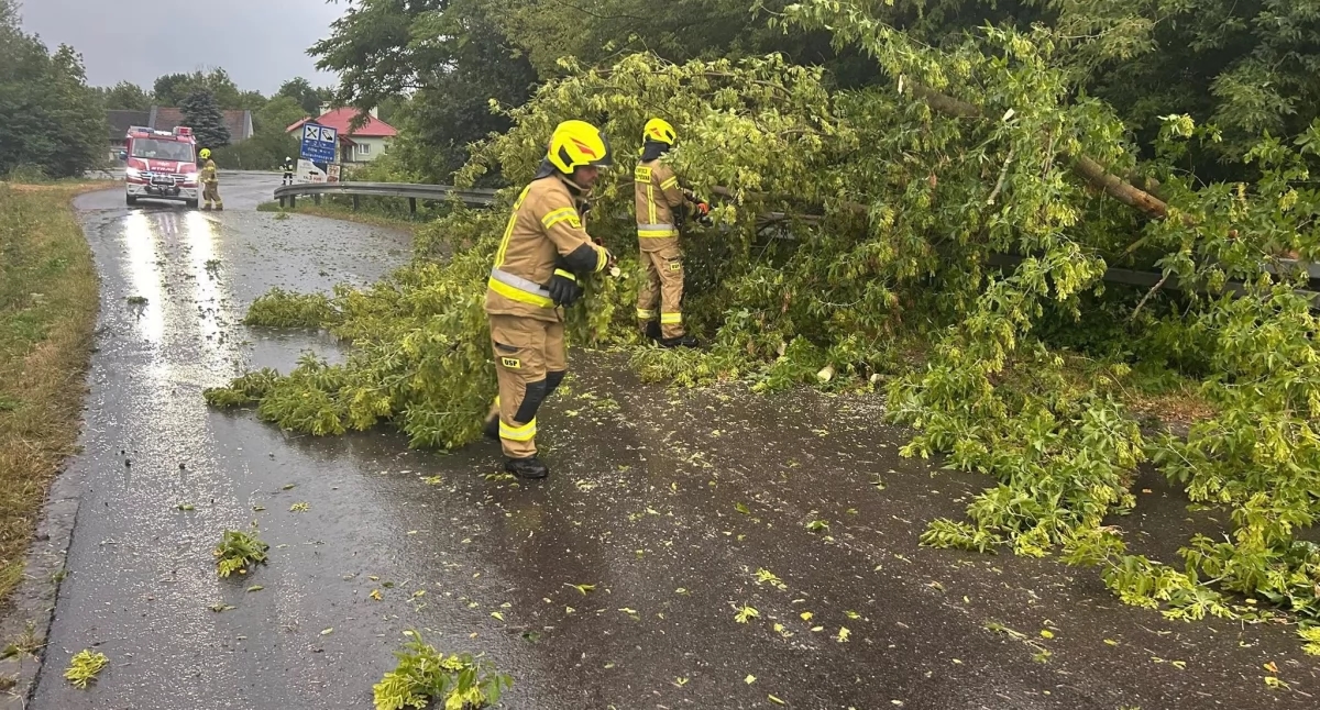 Di "Gabriel", altrimenti sarebbe stato pericoloso, ma la natura ha risparmiato la tragedia [FOTO]