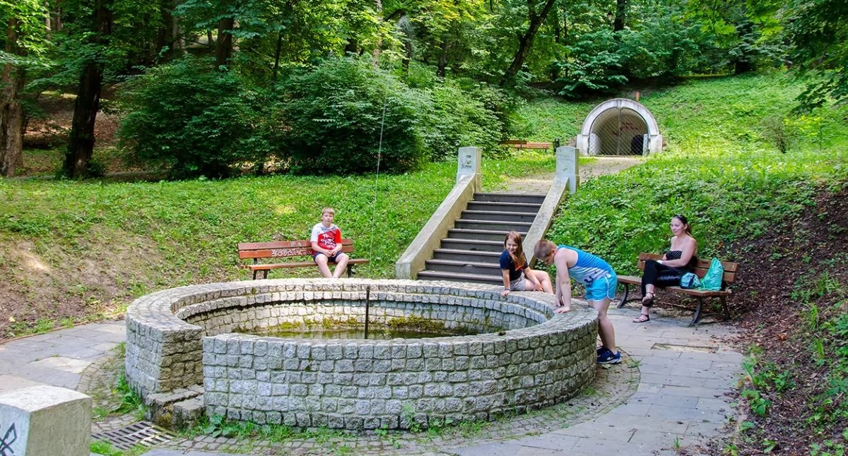 Sztucznej inteligencji przypadł do gustu Park Zamkowy im. Mariana Strońskiego