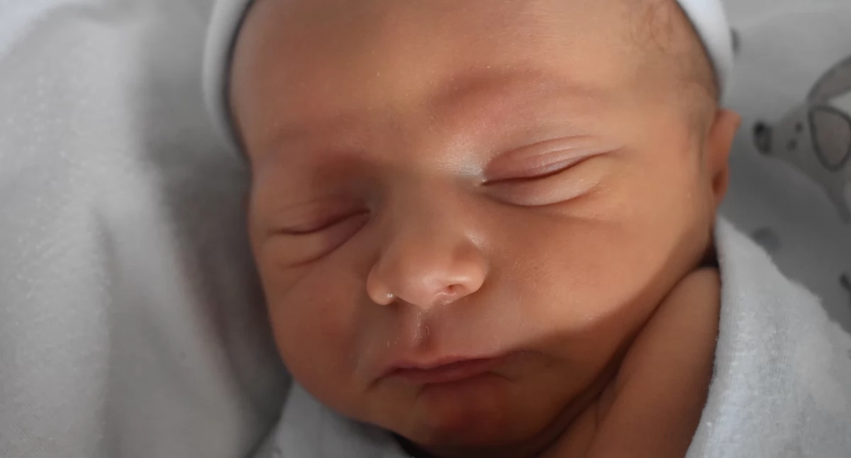 LIFE'S BABIES (bambini con il numero ŻP 32 dal 6 agosto)