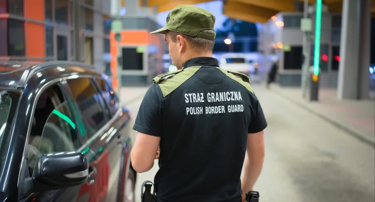 A series of fake registration certificates on the Podkarpacie border [PHOTOS]
