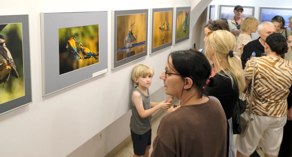 Aves – Elżbieta Rogaczewska-Czępińska'nın sergisi