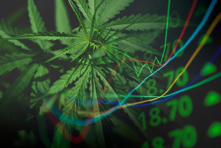 Hanf.com realiza recuperação operacional - Neural Therapeutics garante crescimento no mercado europeu de CBD