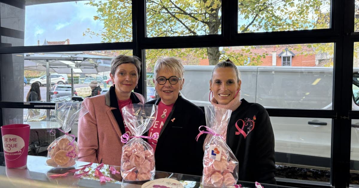 Châtillon-sur-Seine. When Pink October Comes to the Market