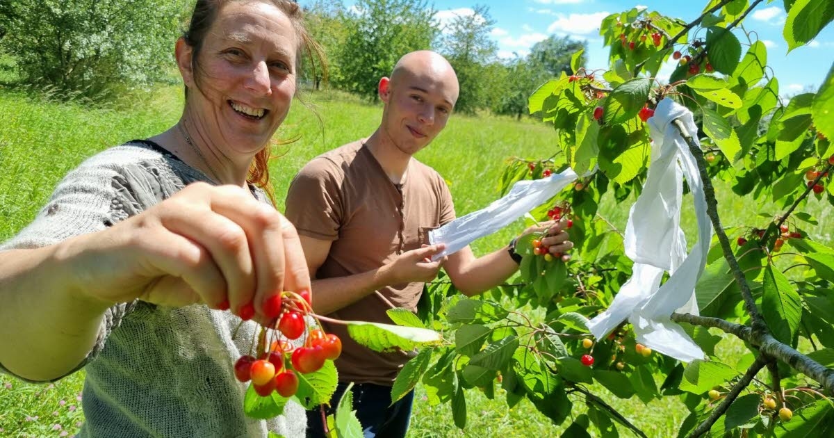 #IciOnAgit. Meuse Nature Environnement, un lavoro minuzioso per proteggere la vita