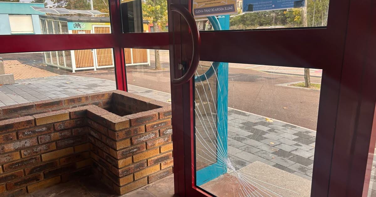 Moselle: Wild boars attempt to enter the Saint-Avold water sports stadium: the video goes viral