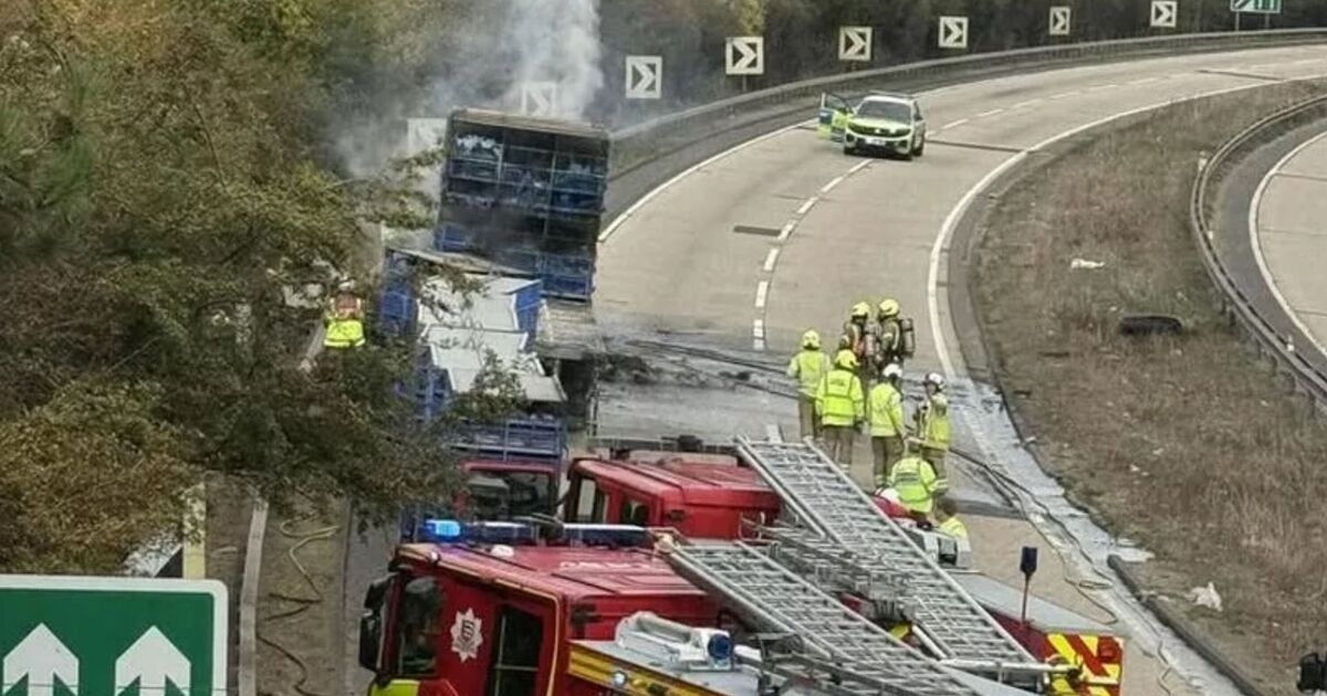 PETA request for memorial to chickens killed in lorry fire rejected