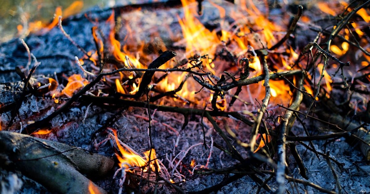 Los británicos reciben una advertencia sobre una multa de 50.000 libras esterlinas por la Noche de las Hogueras