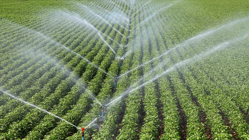 Heute wird eine Agrarhilfezahlung in Höhe von 306 Millionen 541 Tausend 763 Lira an die Landwirte geleistet.