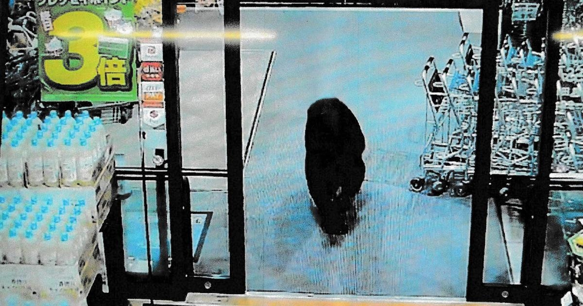 AI to curb bear attacks in Japan