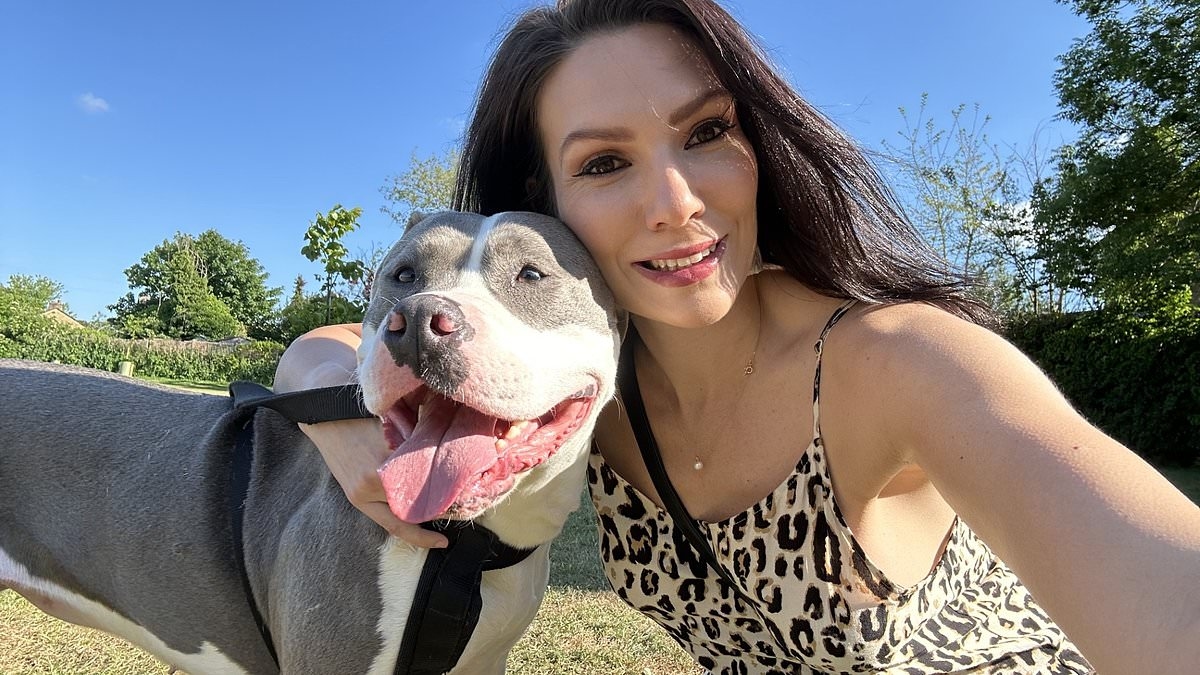 Половина взрослых утверждают, что теперь используют ИИ для управления своими финансами