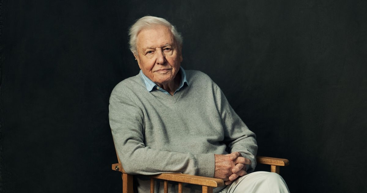 Die neue BBC-Sendung mit David Attenborough ist die „ambitionierteste Tierdokumentation aller Zeiten“.