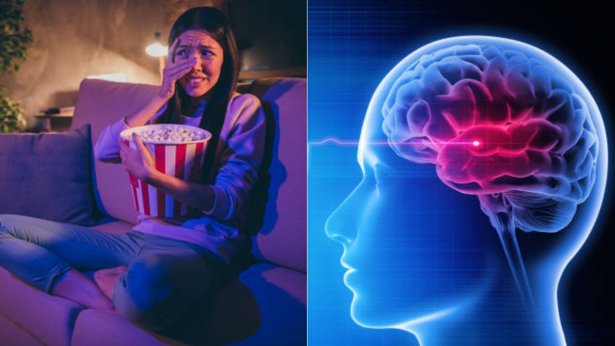 ¿Qué pasa en el cerebro cuando ve películas de terror? Esto dice la ciencia