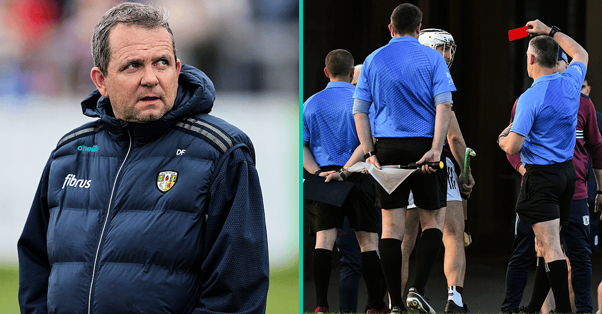 Davy Fitzgerald fordert die GAA zu grundlegenden Änderungen der Regeln für Spielfeldrand und Schiedsrichter auf.