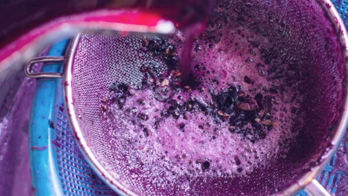 Wine Bank: Eles buscarão impulsionar as exportações de vinho.