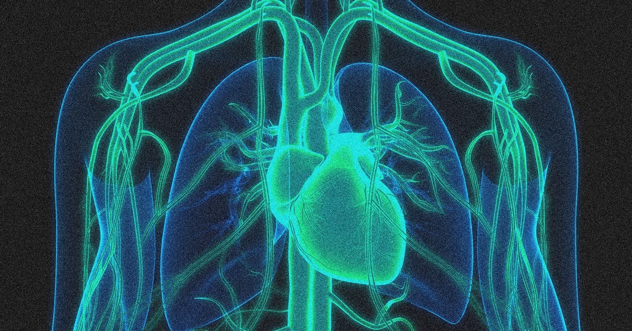 Une thérapie génique a permis de réduire de moitié le taux de cholestérol.