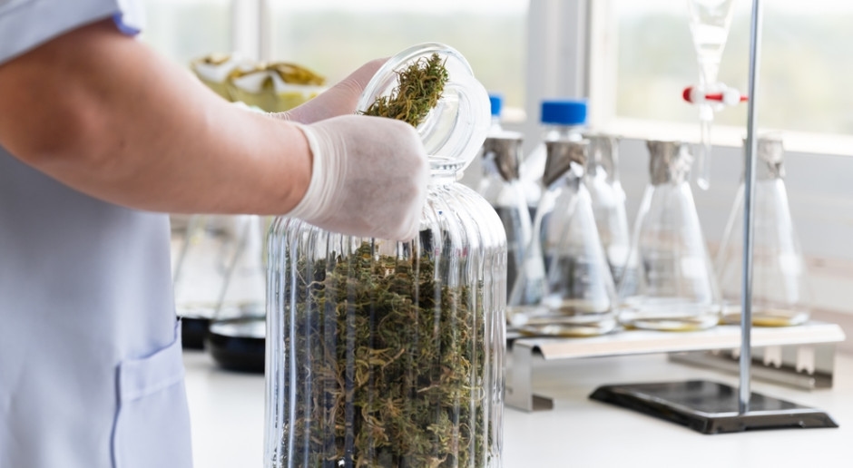 "Green clinics" in Poland to be closed. They want changes to marijuana regulations.