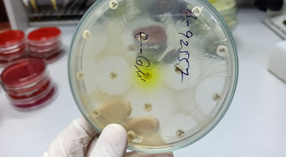 "Wyprzedza postępy medycyny". Zagrożenie rośnie, nowy alarm ogłoszony