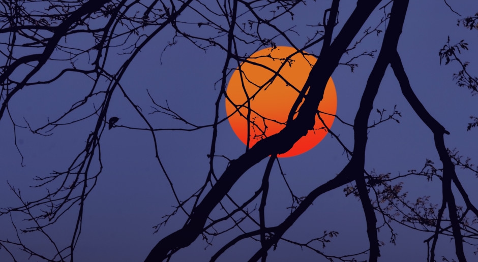 Die NASA bestätigt: Die Erde hat derzeit zwei Monde.