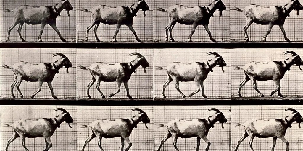 Eadweard Muybridge no Museu da Universidade de Navarra: a realidade nunca notada