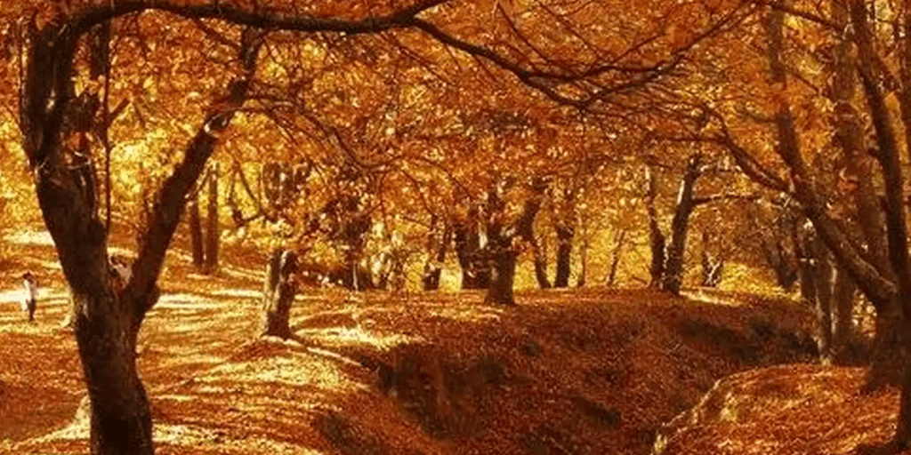 Het Malaga-dorp dat perfect is voor de herfst: het heeft een oranje 'jungle' en slechts 300 inwoners