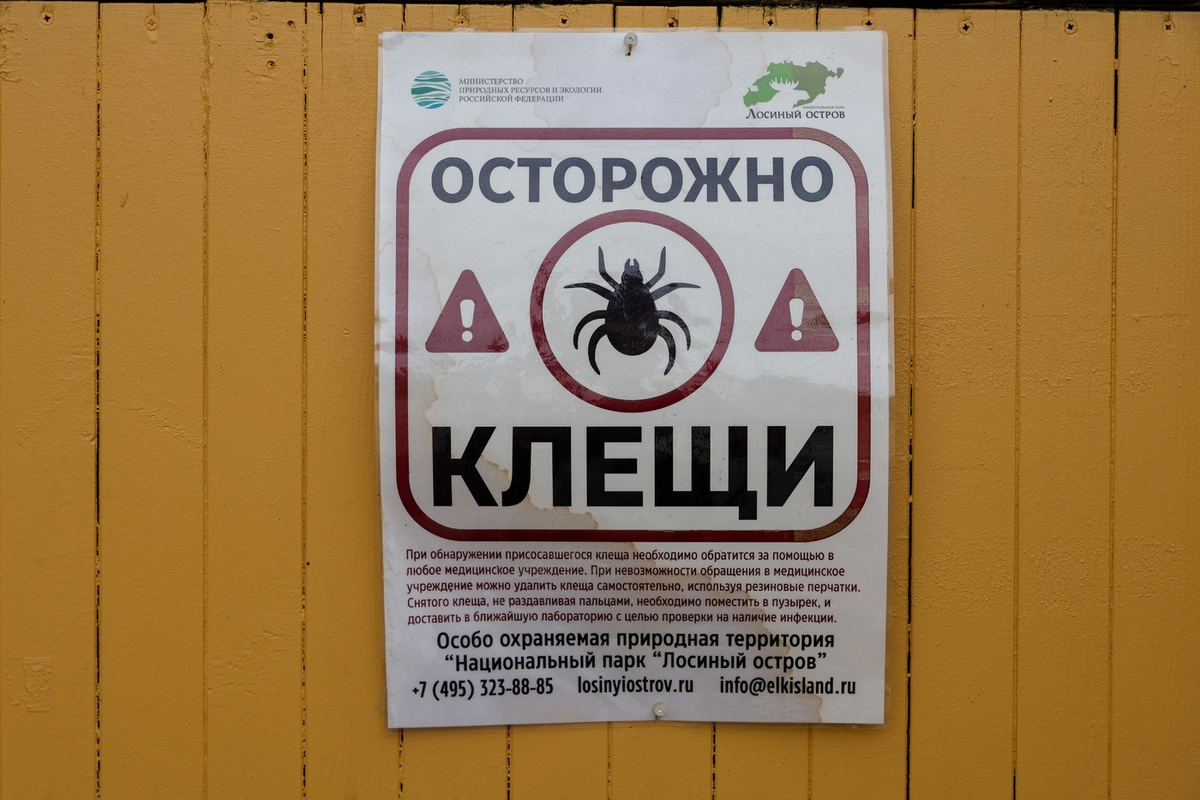 Autumn ticks are more dangerous than summer ones.