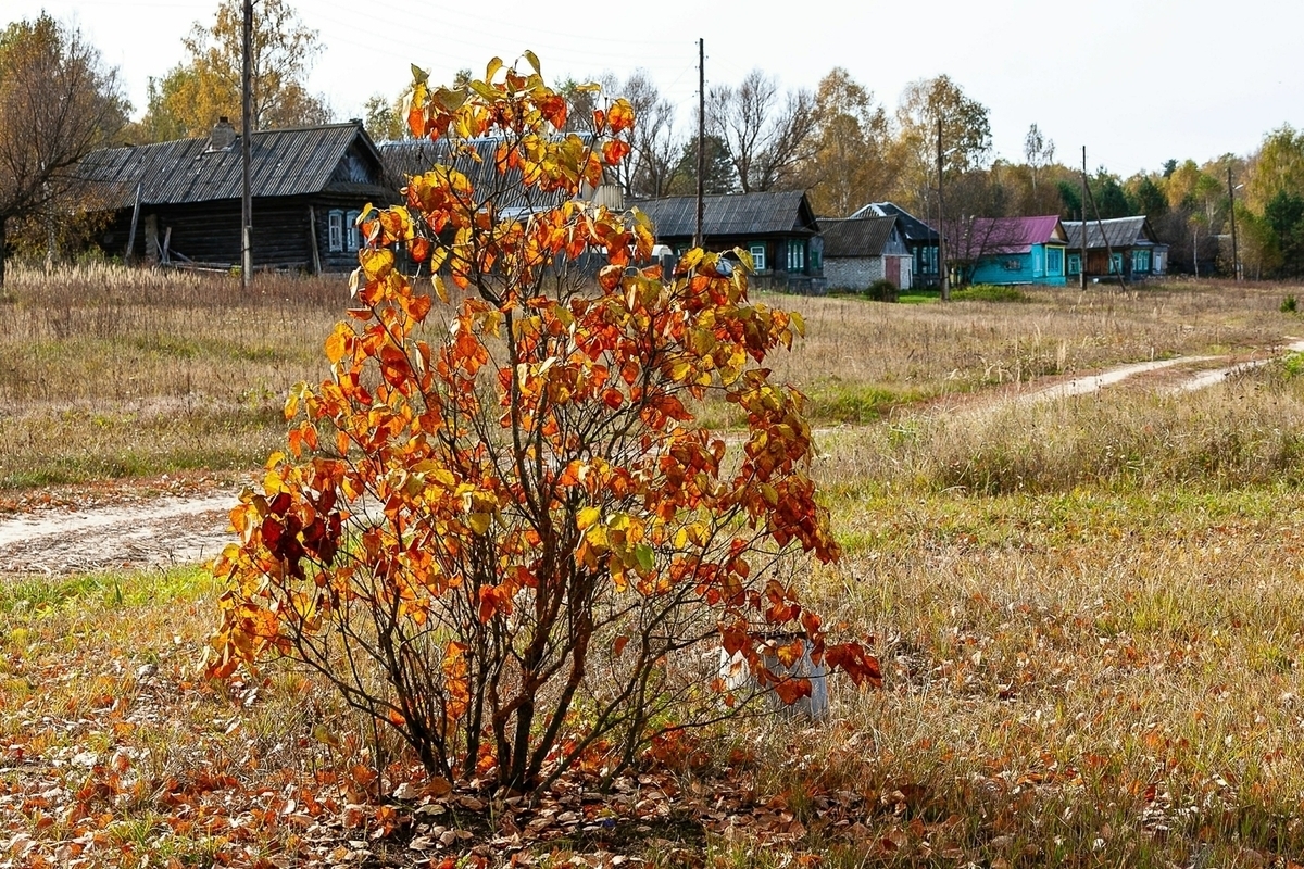 Что можно, а что нельзя делать 7 ноября на Дедовские плачи